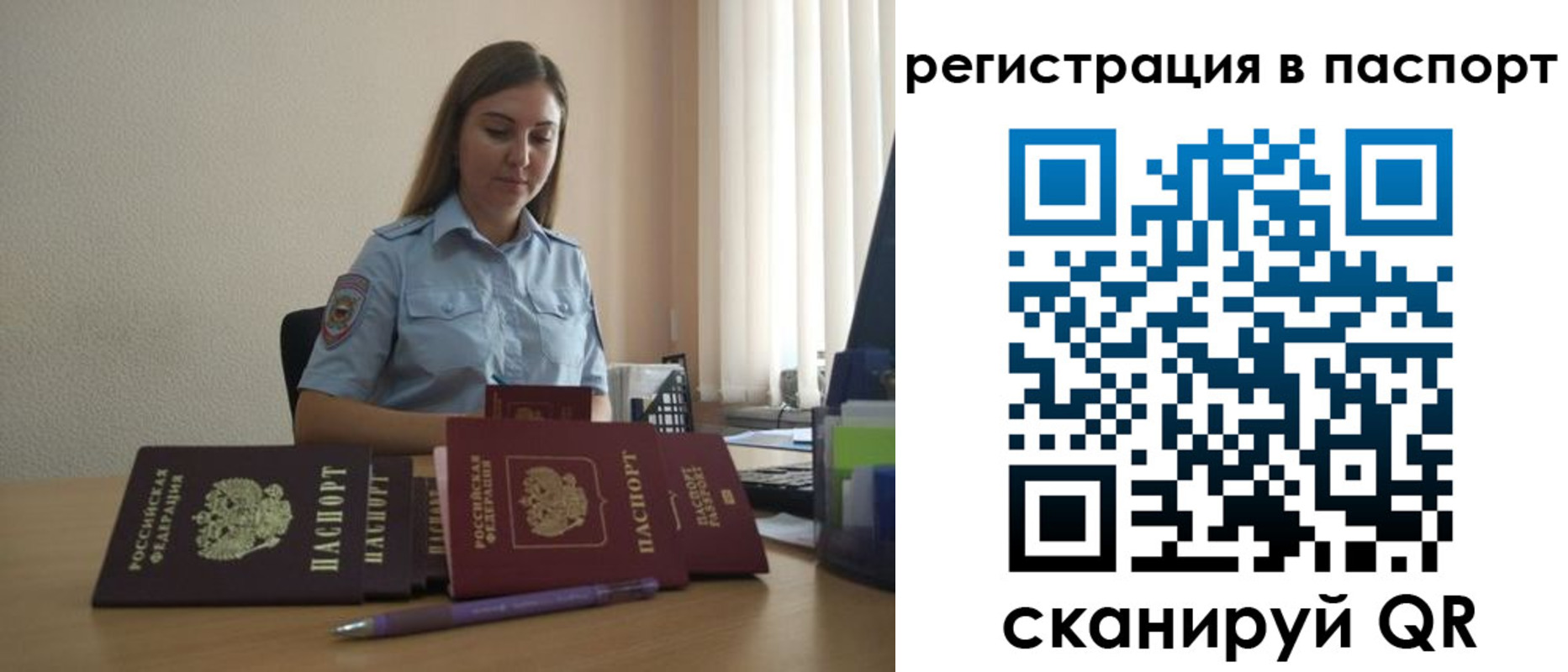 прописка для школы в Ивантеевке